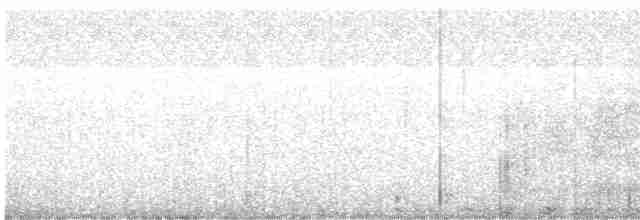 holub útesový - ML615860791