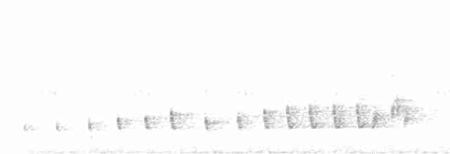 Braunhals-Nachtschwalbe - ML615861011