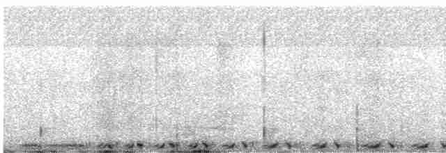 holub útesový - ML615861611