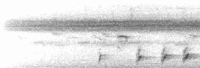 Puerto-Rico-Nachtschwalbe - ML615861644