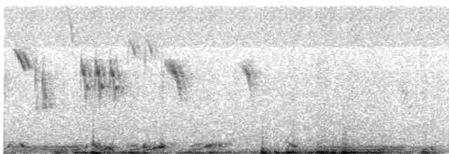 holub útesový - ML615861990