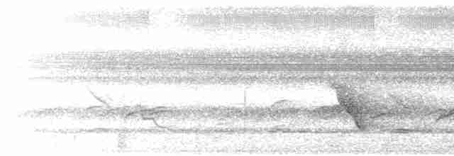 Пересмішник жовтодзьобий - ML615869152
