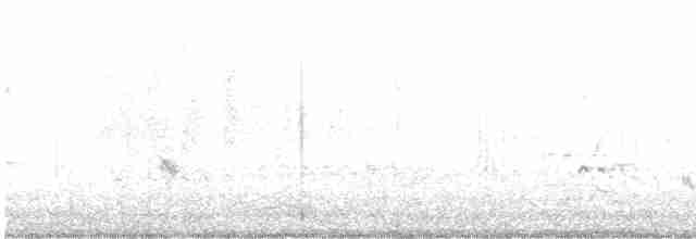 potápka malá [skupina ruficollis] - ML615869593