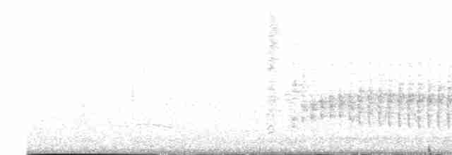 spydknottsmett (rufiventris gr.) - ML615870910