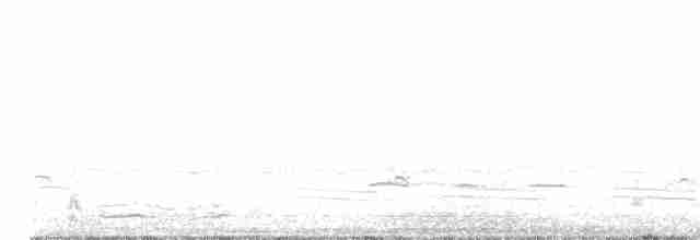 Sarcelle d'hiver (crecca) - ML615871727