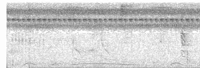 holub neotropický - ML615872288