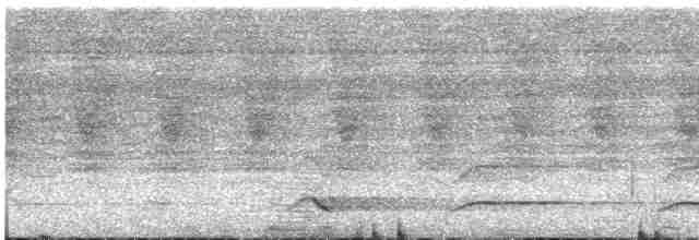 Тукан червонодзьобий (підвид tucanus) - ML615872386
