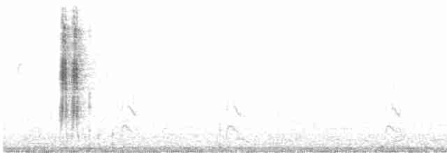 Кактусовый пересмешник - ML615872541