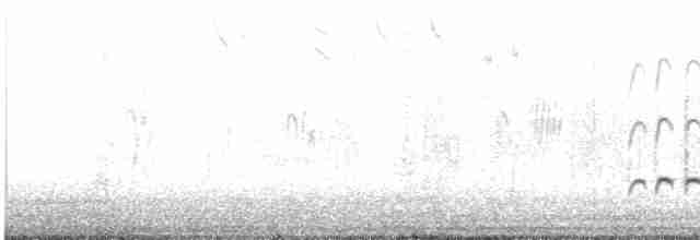 Средний кроншнеп - ML615873914
