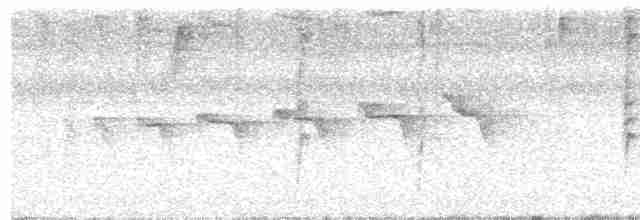 Braunscheitel-Ameisenvogel - ML615878165