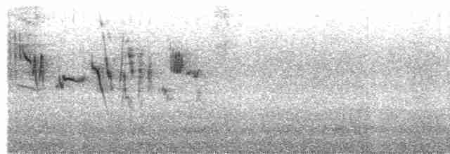 דוחל שחור-גרון - ML615878291