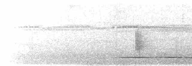 Great Tinamou - ML615879763