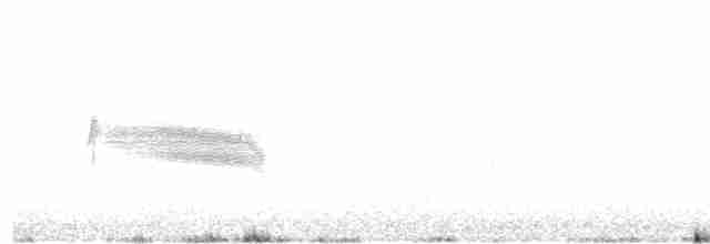 European Greenfinch - ML615881094