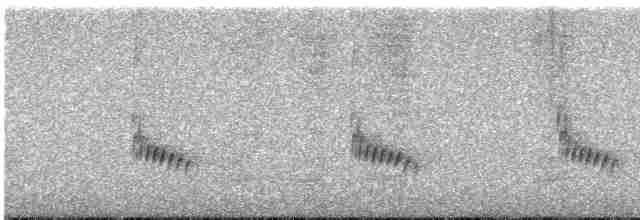Поплітник каролінський - ML615881564