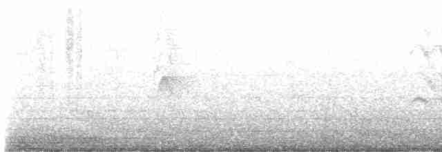 Kestane Kulaklı Arapbülbülü - ML615882303