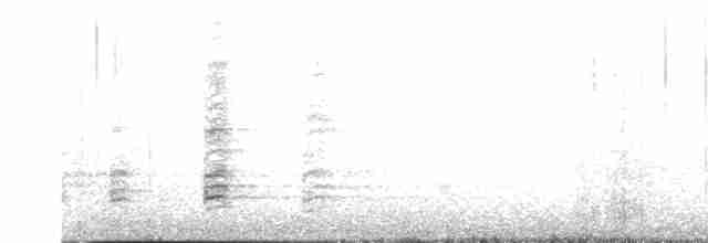 Чернолицый ибис - ML615882836
