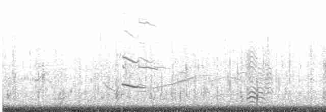 Ацтекская чайка - ML615883383