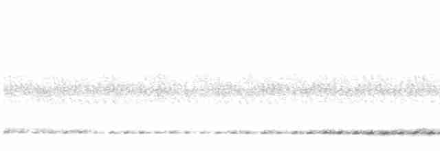Chevêchette cuculoïde - ML615883609