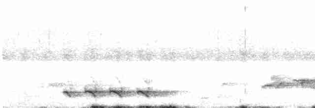 Turuncu Göğüslü Trogon [dulitensis grubu] - ML615883698