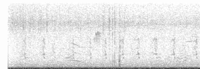 potápka bělouchá - ML615892111
