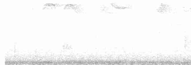 Гребенечуб андійський - ML615892986