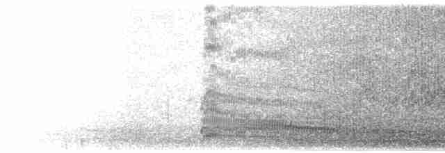 Mouette argentée (scopulinus) - ML615895173