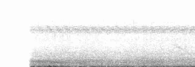 אנפית מנגרובים - ML615895878