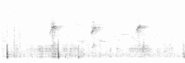 Black-billed Shrike-Tyrant - ML615896367