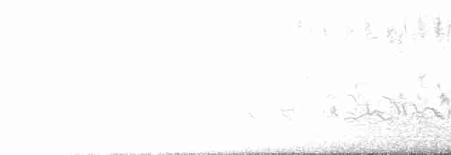 orientkjernebiter - ML615896584