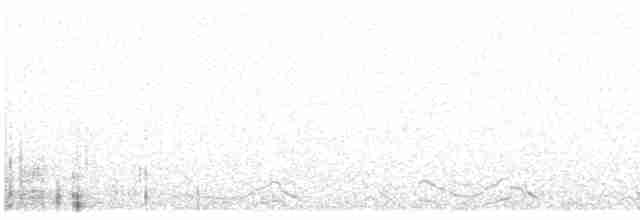Puna Tinamou - ML615897193