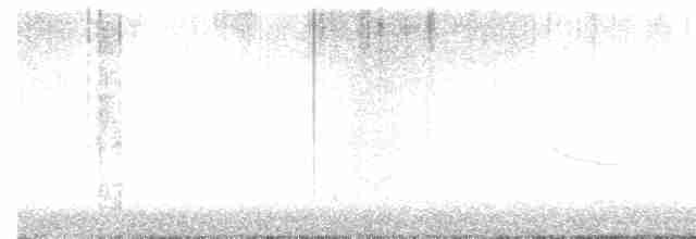 Дрізд-короткодзьоб плямистоволий - ML615897287