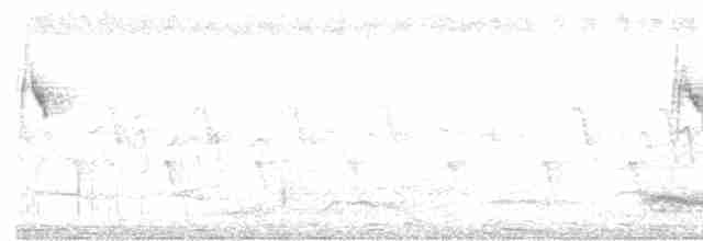 Берингийская жёлтая трясогузка - ML615898428