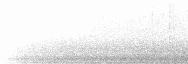 オーストラリアツバメ - ML615899571