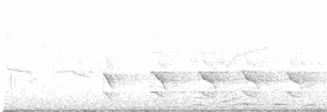 Чёрно-белый ястреб - ML615900884