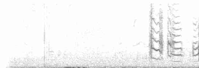 Çatal Kuyruklu Drongo - ML615900903