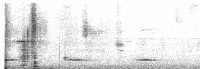 Горный трёхпалый тинаму - ML615901959
