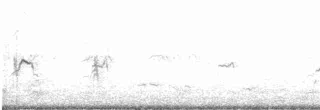 裏海燕鷗 - ML615903496