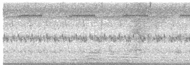 Channel-billed Toucan - ML615908130