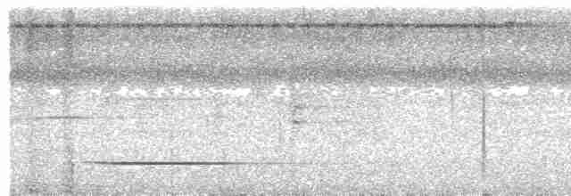 Серый скрытохвост - ML615909182