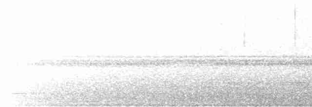 Undulated Tinamou - ML615909379