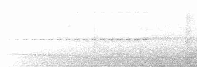 Undulated Tinamou - ML615910303