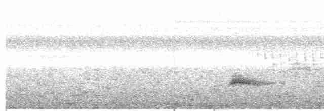 Каштановый скрытохвост - ML615910393