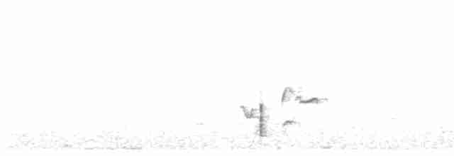 Graustirn-Dickichtschlüpfer - ML615910454