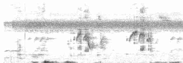 Тиранчик-тонкодзьоб південний - ML615910457