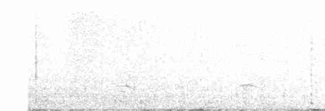 potápka žlutorohá - ML615916258