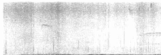 Mérulaxe de Spillmann - ML615916296
