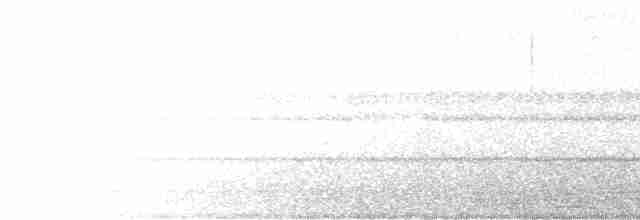 Undulated Tinamou - ML615917990