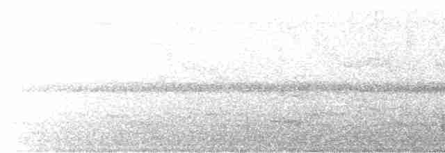 arassari hnědouchý - ML615919361