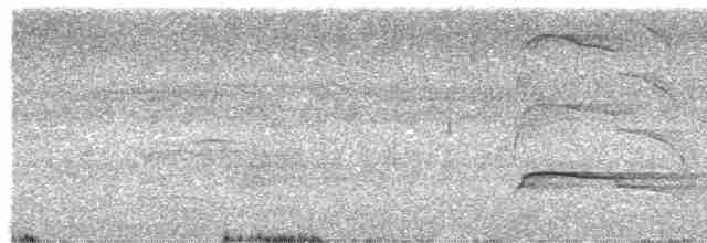Полосатый канюк - ML615920067