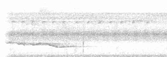 Зернолуск білогорлий - ML615920559